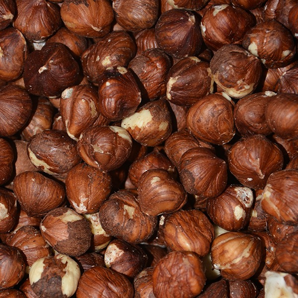 Fındık
